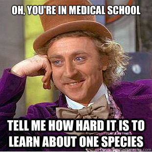Oh, you're in medical school Tell me how hard it is to learn about one species - Oh, you're in medical school Tell me how hard it is to learn about one species  Condescending Wonka