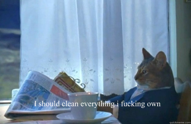 I should clean everything i fucking own - I should clean everything i fucking own  Sophisticated Cat