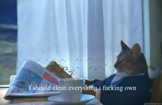 I should clean everything i fucking own  Sophisticated Cat