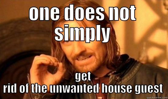 ONE DOES NOT SIMPLY GET RID OF THE UNWANTED HOUSE GUEST Boromir