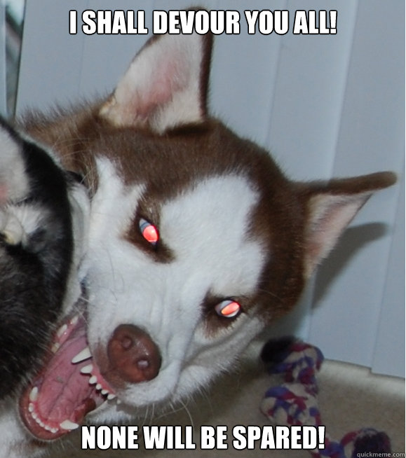 I Shall devour you all! None will be spared! - I Shall devour you all! None will be spared!  Demon Husky