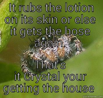  IT RUBS THE LOTION ON ITS SKIN OR ELSE IT GETS THE HOSE AGAIN. THAT'S IT CRYSTAL YOUR GETTING THE HOUSE  Misunderstood Spider