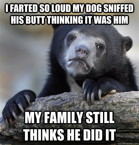 I FARTED SO LOUD MY DOG SNIFFED HIS BUTT THINKING IT WAS HIM MY FAMILY STILL THINKS HE DID IT - I FARTED SO LOUD MY DOG SNIFFED HIS BUTT THINKING IT WAS HIM MY FAMILY STILL THINKS HE DID IT  Misc