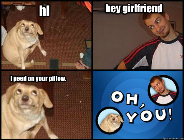 hi hey girlfriend I peed on your pillow. - hi hey girlfriend I peed on your pillow.  Oh you!