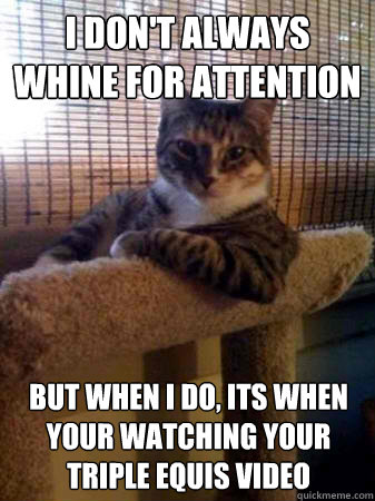 I don't always whine for attention  but when I do, its when your watching your triple equis video  The Most Interesting Cat in the World