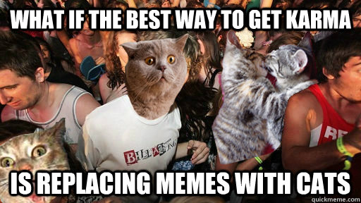 What if the best way to get karma is replacing memes with cats - What if the best way to get karma is replacing memes with cats  Sudden Clarity Cat