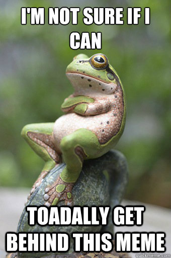 I'm not sure if i can  toadally get behind this meme  Unimpressed Frog