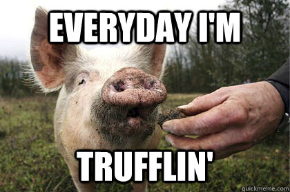 EVERYDAY I'M  TRUFFLIN'  