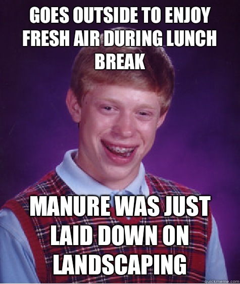 Goes outside to enjoy fresh air during lunch break Manure was just laid down on landscaping - Goes outside to enjoy fresh air during lunch break Manure was just laid down on landscaping  Bad Luck Brian