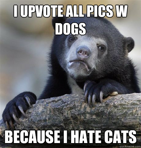 I upvote all pics w dogs because i hate cats  Confession Bear