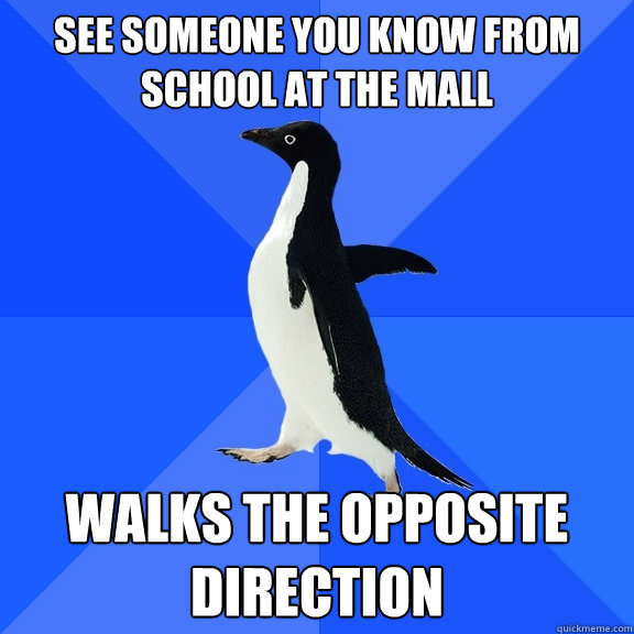 See someone you know from school at the mall Walks the opposite direction  Socially Awkward Penguin
