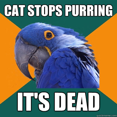 Cat stops purring It's dead  Paranoid Parrot