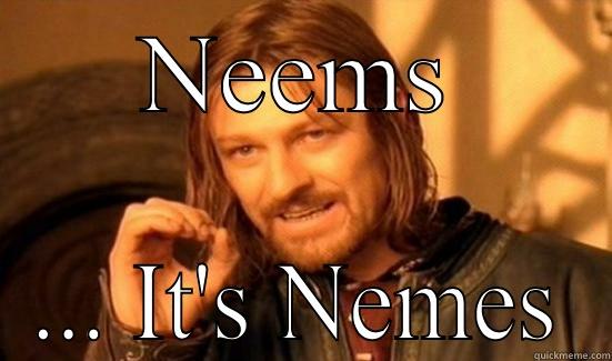 NEEMS ... IT'S NEMES Boromir