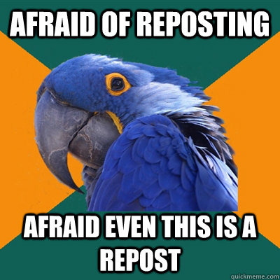 Afraid of reposting Afraid even this is a repost  Paranoid Parrot