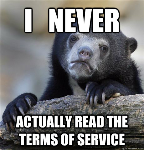 I   never actually read the Terms of Service  Confession Bear