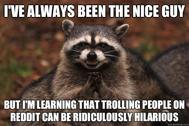 I've always been the nice guy But I'm learning that trolling people on Reddit can be ridiculously hilarious  Evil Plotting Raccoon