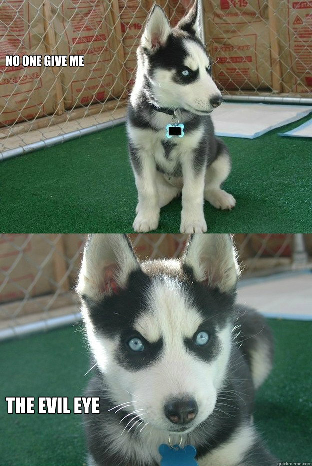 No one give me the EVIL EYE - No one give me the EVIL EYE  Insanity puppy