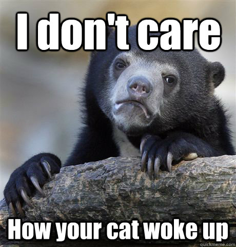 I don't care How your cat woke up  Confession Bear
