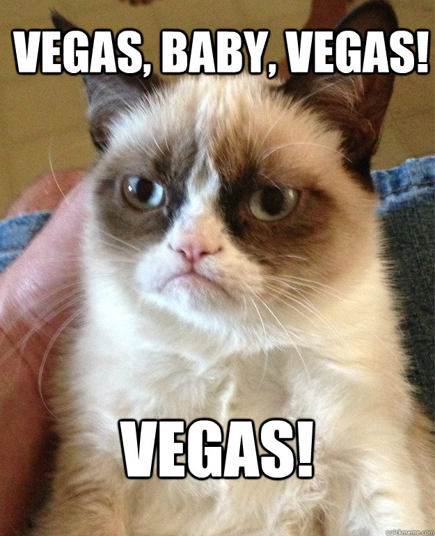  Vegas, baby, Vegas! Vegas! -  Vegas, baby, Vegas! Vegas!  Grumpy Cat