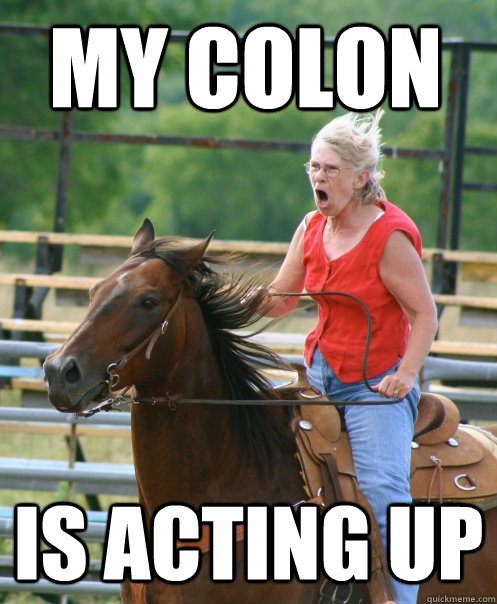 MY colon is acting up - MY colon is acting up  Grandma on horse