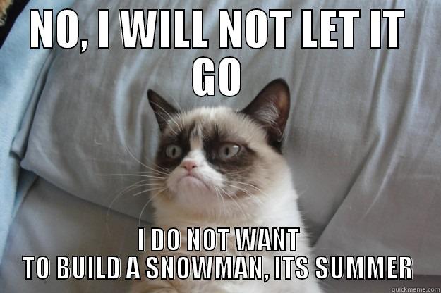 NO, I WILL NOT LET IT GO I DO NOT WANT TO BUILD A SNOWMAN, ITS SUMMER Grumpy Cat