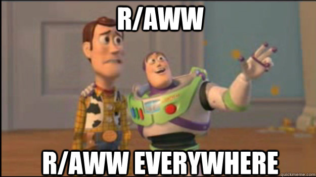 r/aww r/aww everywhere  Buzz and Woody