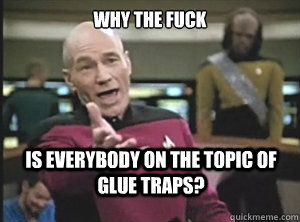 why the fuck is everybody on the topic of glue traps?  Annoyed Picard