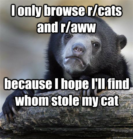 I only browse r/cats and r/aww because I hope I'll find whom stole my cat  Confession Bear