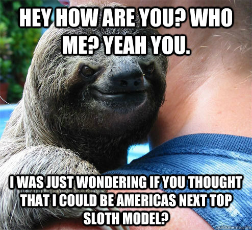 hey how are you? who me? yeah you. i was just wondering if you thought that i could be americas next top sloth model?  Suspiciously Evil Sloth
