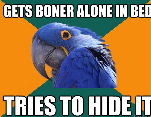 Gets boner alone in bed tries to hide it  Paranoid Parrot