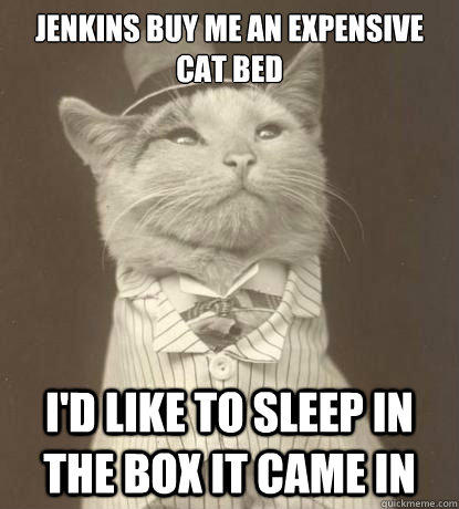 Jenkins buy me an expensive cat bed I'd like to sleep in the box it came in  Aristocat