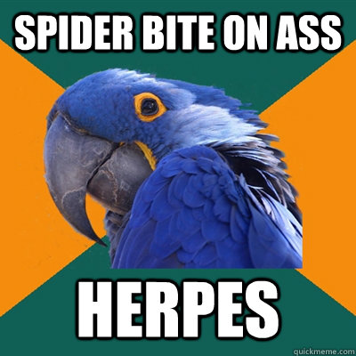 SPIDER BITE ON ASS HERPES  Paranoid Parrot