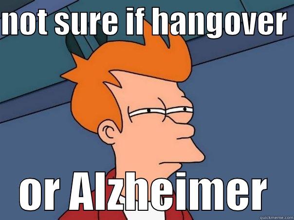 NOT SURE IF HANGOVER  OR ALZHEIMER Futurama Fry