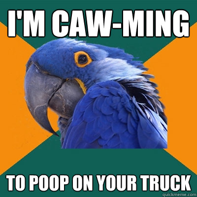 I'm Caw-ming  to poop on your truck  Paranoid Parrot