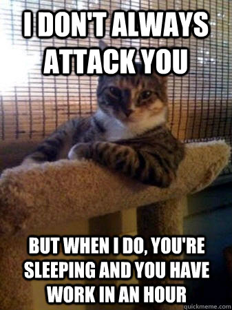 I don't always attack you but when I do, you're sleeping and you have work in an hour  The Most Interesting Cat in the World