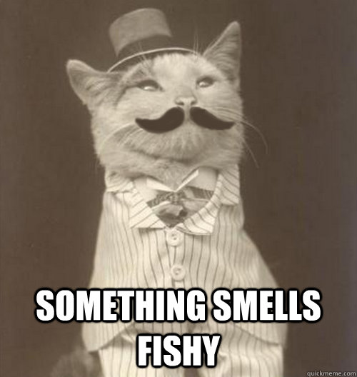  Something smells Fishy -  Something smells Fishy  Original Business Cat