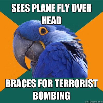 sees plane fly over head braces for terrorist bombing  Paranoid Parrot