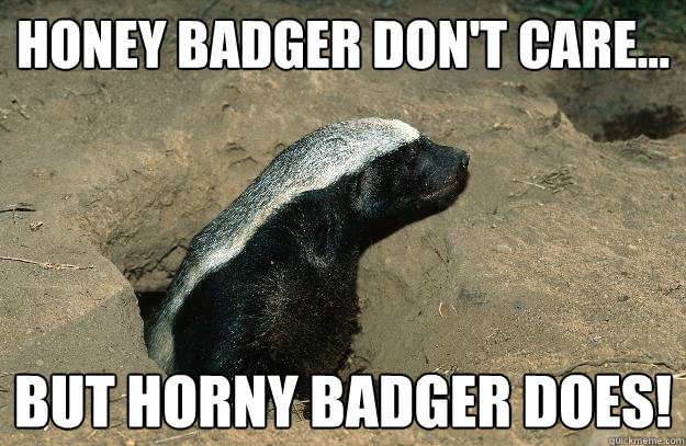 Honey badger don't care... But horny badger does!  