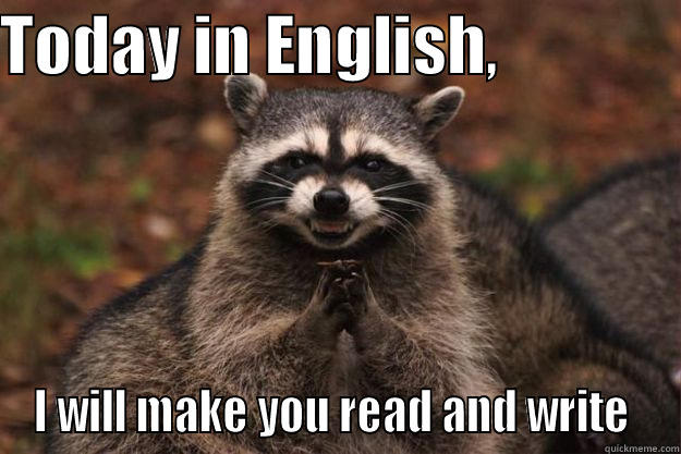 TODAY IN ENGLISH,               I WILL MAKE YOU READ AND WRITE  Evil Plotting Raccoon
