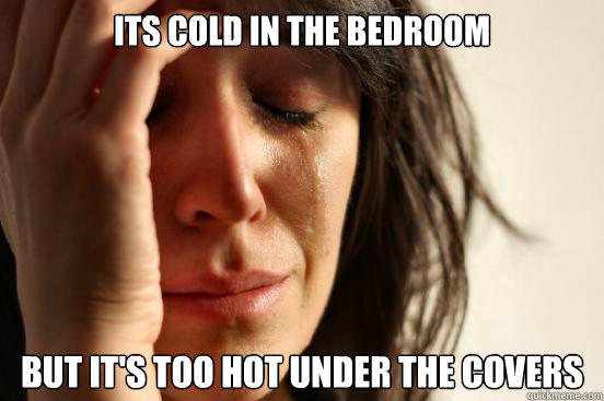Its cold in the bedroom but it's too hot under the covers  First World Problems