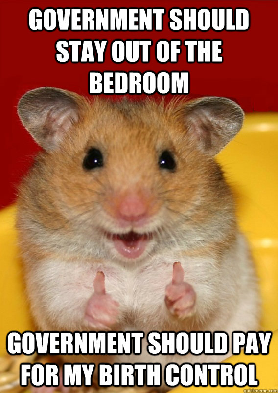 government should stay out of the bedroom government should pay for my birth control   Rationalization Hamster