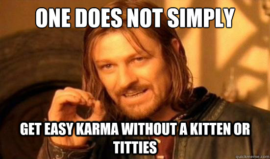 One Does Not Simply get easy karma without a kitten or titties  Boromir