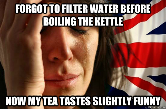 Forgot to filter water before boiling the kettle now my tea tastes slightly funny  British First World Problems