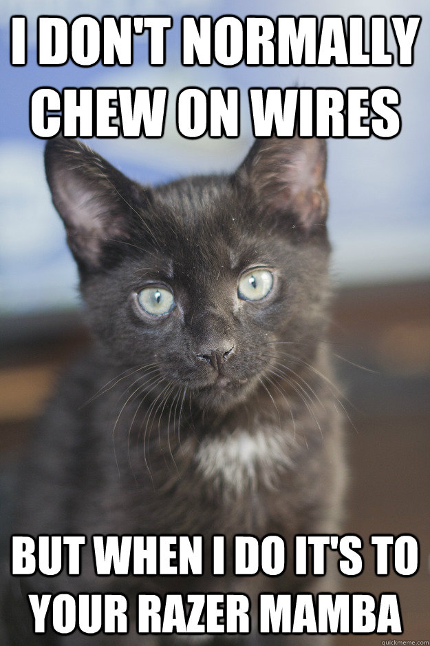 I don't normally chew on wires But when I do it's to your Razer Mamba - I don't normally chew on wires But when I do it's to your Razer Mamba  Bad Kitty
