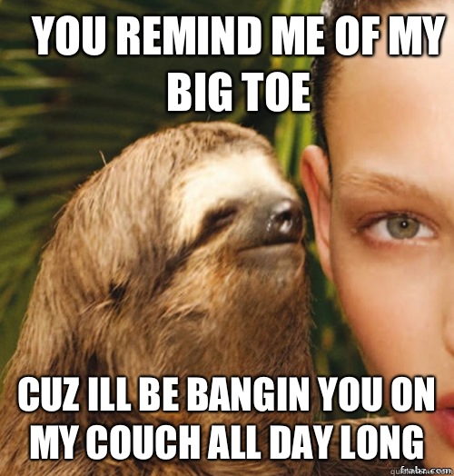 You remind me of my big toe Cuz ill be bangin you on my couch all day long  rape sloth