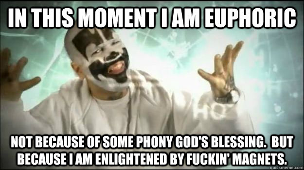 IN THIS MOMENT I AM EUPHORIC NOT BECAUSE OF SOME PHONY GOD'S BLESSING.  BUT BECAUSE I AM ENLIGHTENED BY FUCKIN' MAGNETS.  Fucking Magnets