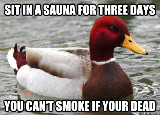 sit in a sauna for three days you can't smoke if your dead - sit in a sauna for three days you can't smoke if your dead  Malicious Advice Mallard