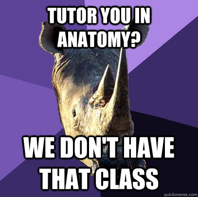 Tutor you in anatomy? we don't have that class  Sexually Oblivious Rhino
