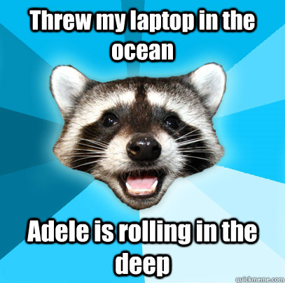 Threw my laptop in the ocean Adele is rolling in the deep  Lame Pun Coon