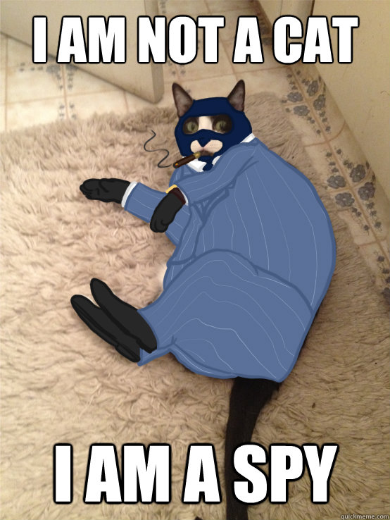 I am not a cat I am a spy - I am not a cat I am a spy  TF2 Spy Cat